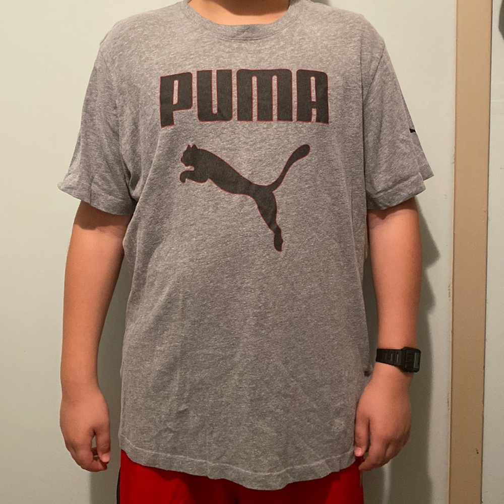 Grey Puma